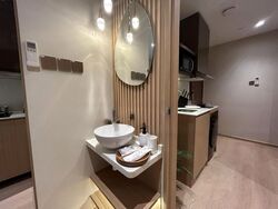Mount Elizabeth Link (D9), Condominium #484100461